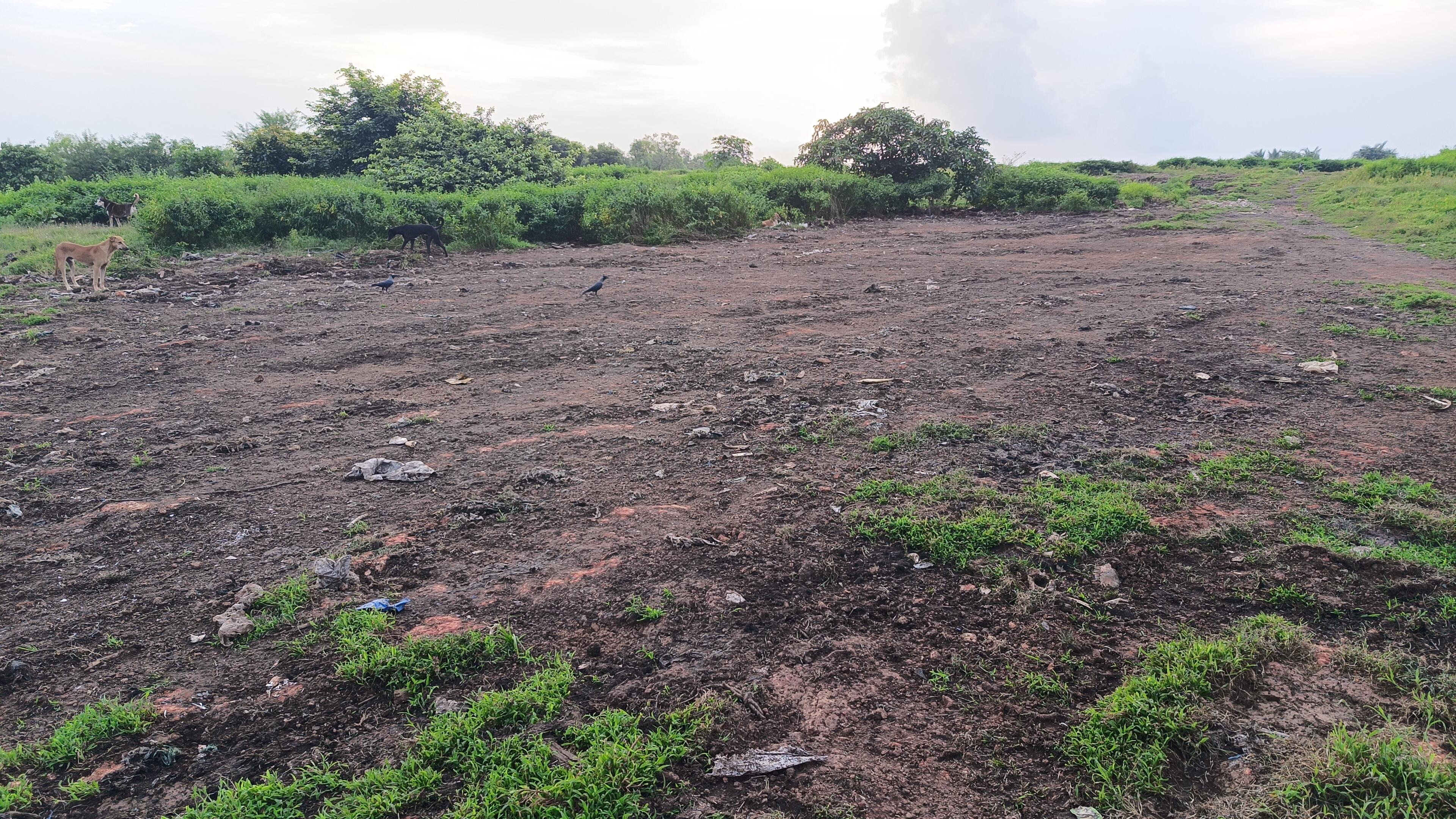 بھٹکل: مویشیوں کی ہڈیوں کے فوٹوز سوشیل میڈیا پر وائرل ہونے کے بعد عوام میں سخت تشویش؛ کیا پُرامن ماحول کو خراب کرنے کی سازش ہے ؟