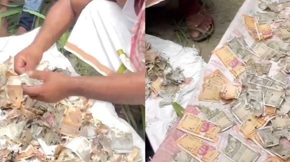 8 سال کی بچت چوہوں کی نذر، گونڈا میں 12 لاکھ روپے کے نوٹ خراب