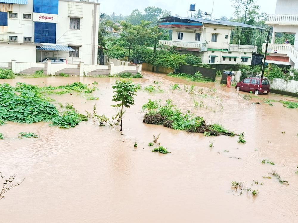 sirsi-rain-2