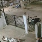 کرناٹک کے کوپّل میں بندر کے حملے سے 91 سالہ خاتون کی موت
