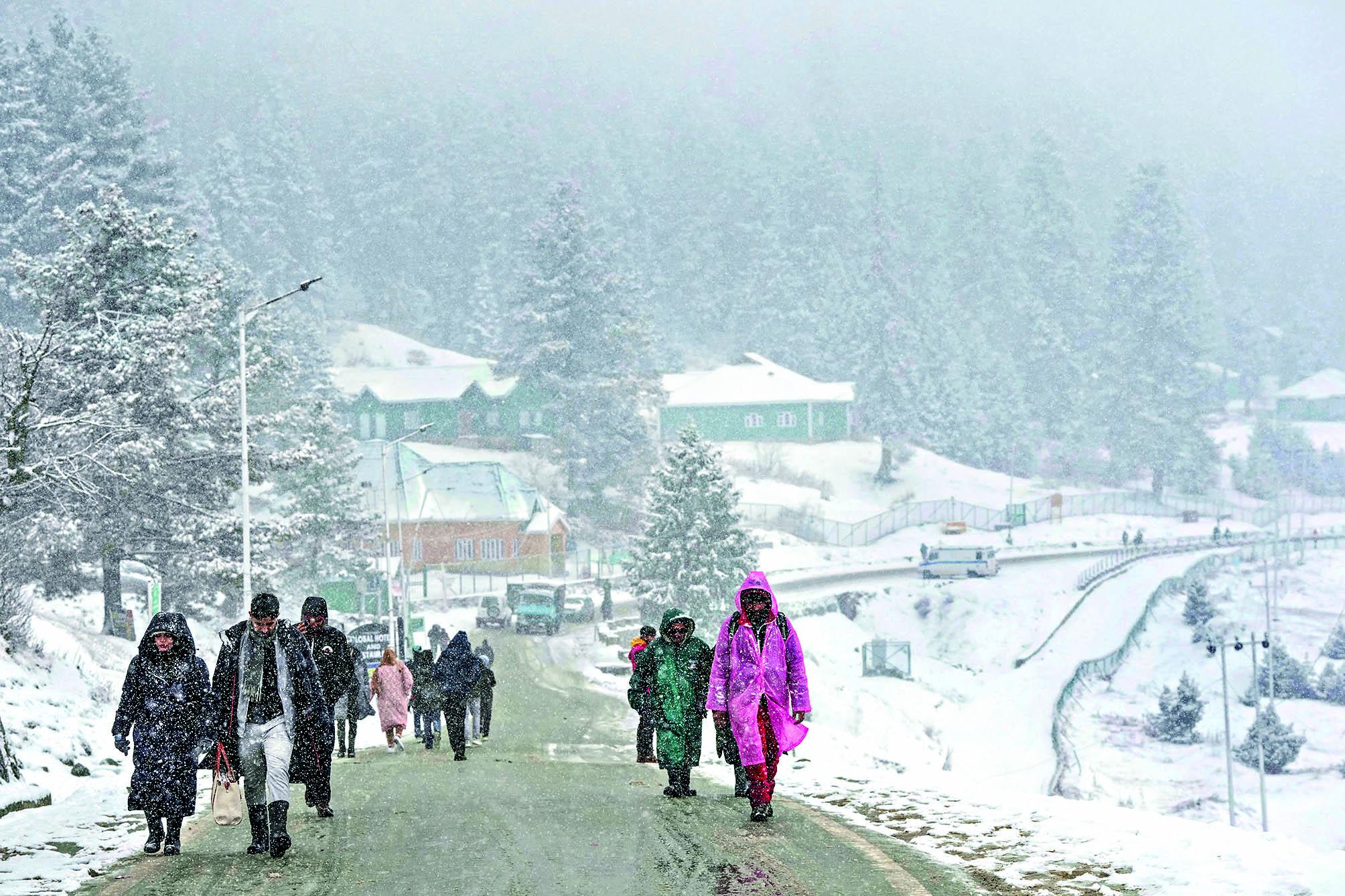 شمالی  ہندوستان  سرد لہر اور گھنے کہرے کی لپیٹ میں، کشمیر و ہماچل میں برفباری کا سلسلہ جاری