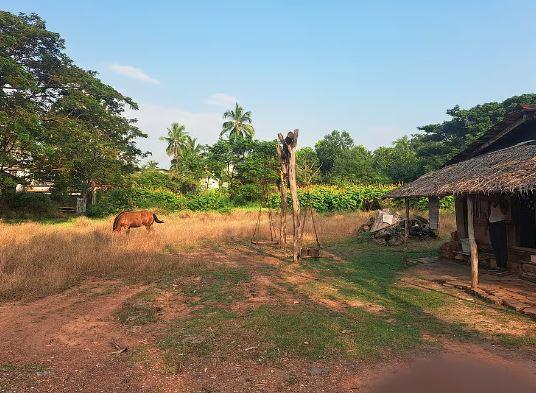 بھٹکل : خریداروں کے کم ہونے سے بند ہو رہے ہیں لکڑی کے ڈپو - مردے جلانے والوں کو پیش آ رہی ہیں دشواریاں