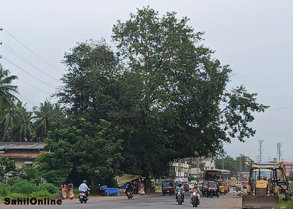 بھٹکل میں نیشنل ہائی وے کی توسیع : کیوں رکا ہے کام؟ کون کھڑی کررہا ہے رکاوٹ ؟