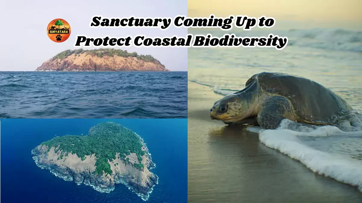 اقلیتوں کو رہائشی اسکیموں میں 15 فیصد حصہ داری، ہوناور میں 6 کلو میٹر ساحلی پٹی و جنگلات حیاتیاتی پناہ گاہ قرار، کابینہ اجلاس میں کئی اہم فیصلے