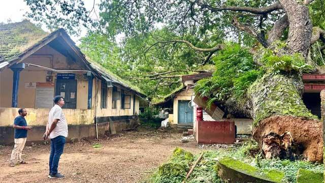 کنداپور : درخت زمین سے اکھڑ گیا - ڈاک گھر کو پہنچا نقصان