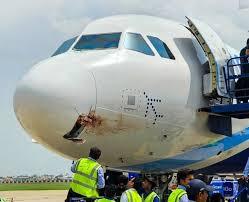 بنگلورو جانے والی انڈیگو پرواز سے برڈ ہٹ، وارانسی میں ہنگامی لینڈنگ، 216 مسافر محفوظ