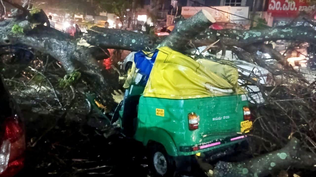 بنگلور میں زوردار بارش؛ آٹو رکشہ پر درخت گرنے سے ڈرائیور کی موت