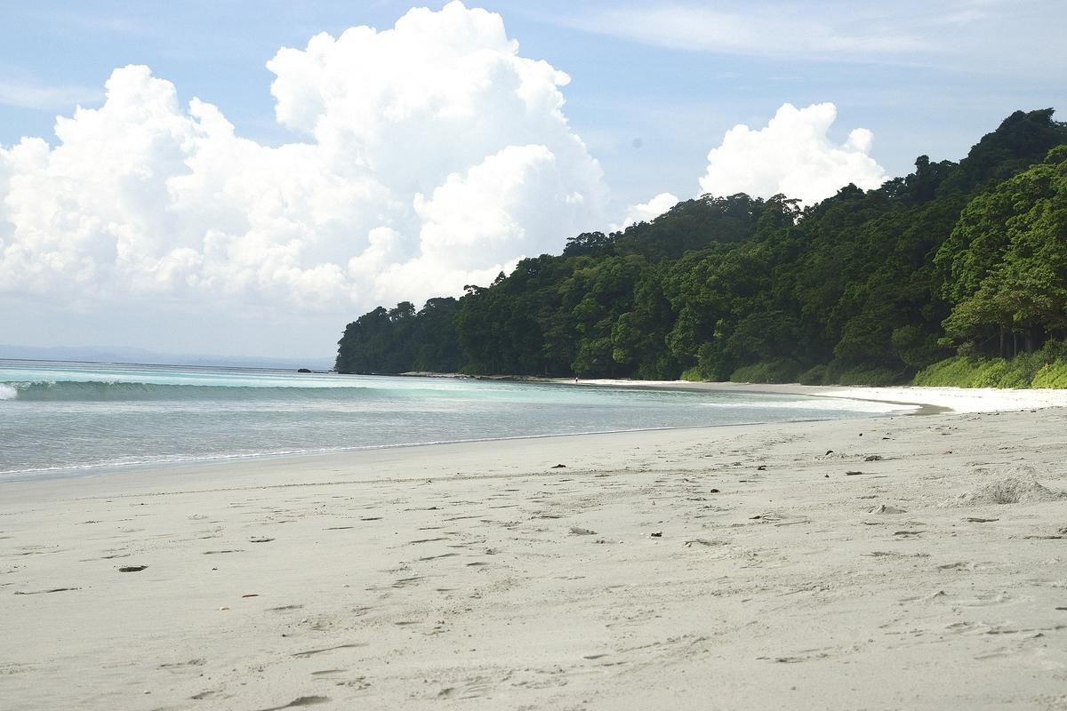 ماحولیاتی وزیر نے گریٹ نکوبار منصوبے میں قبائلیوں کے تحفظ کے خدشات کو نظرانداز کیا: جے رام رمیش