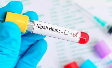 کیرالہ میں نیپاہ وائرس کی واپسی - ایک نوجوان لڑکی کی موت، دوسری مریضہ زیر علاج