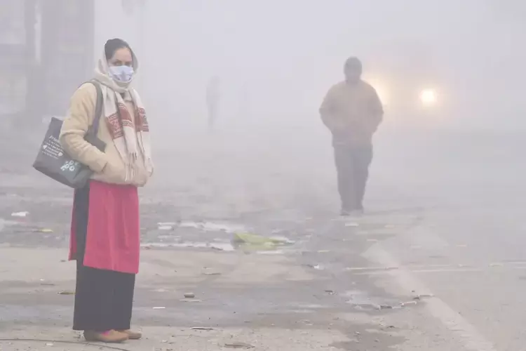 شمالی ہند میں سردی کی شدید لہر،دہلی سمیت کئی ریاستوں میں کہرے سے معمولات متاثر