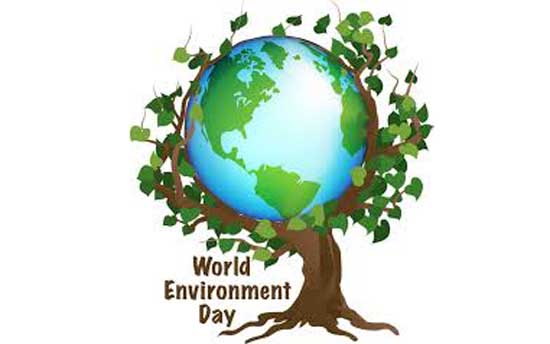 5th June World Environment Day Drawing / How to draw World Environment Day  poster 2022 / Art Video - YouTube