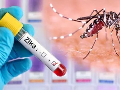 پونے میں زیکا وائرس کے 6 کیسز رپورٹ ہونے سے خوف و ہراس، 2 حاملہ خواتین بھی انفیکشن کا شکار