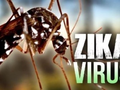 زیکا وائرس، حکومت نے تمام ریاستوں کو کیا الرٹ